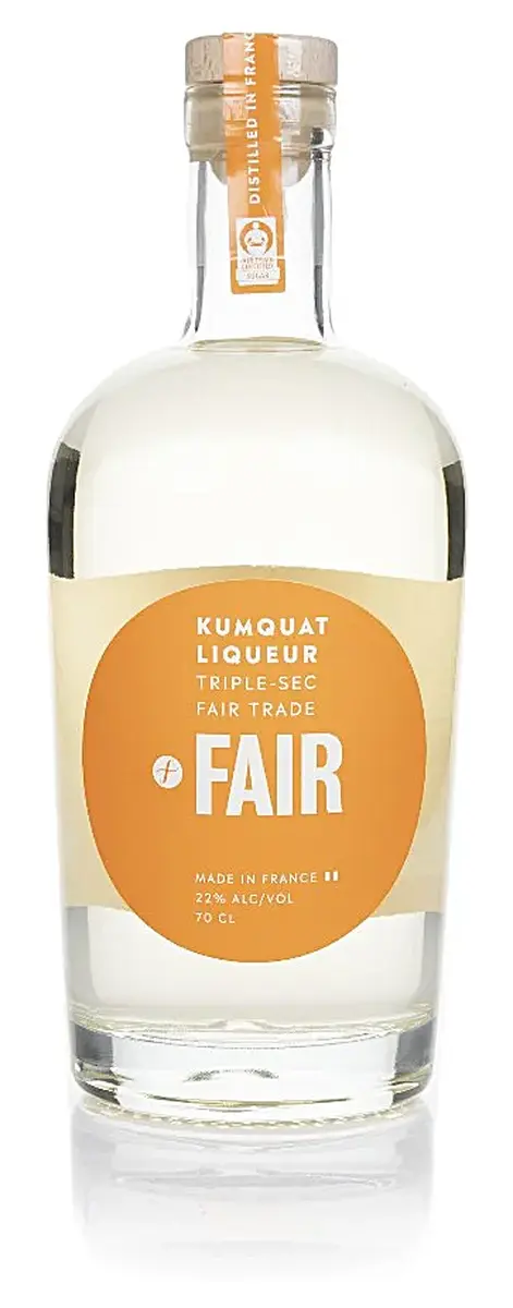 Fair Kumquat - Fair