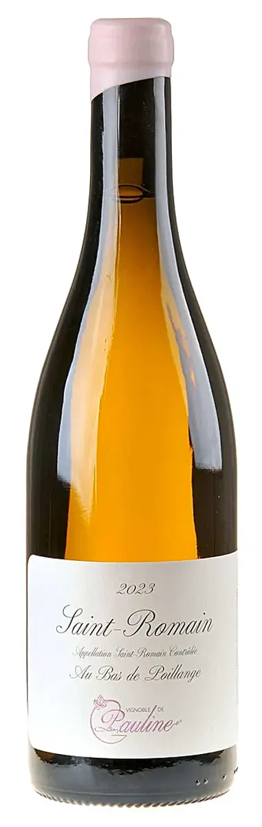 Morgan Truchetet, Saint Romain Au Bas de Poillange, 2023 - Morgan Truchetet