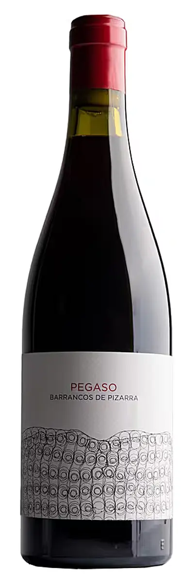 Telmo Rodríguez, Pegaso Pizarra, Sierra de Gredos, 2018 - Telmo Rodriguez