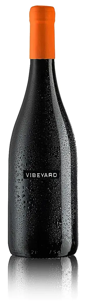 VIBEYARD Orange - VIBEYARD